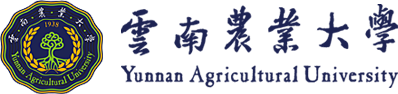 开云kaiyun官网